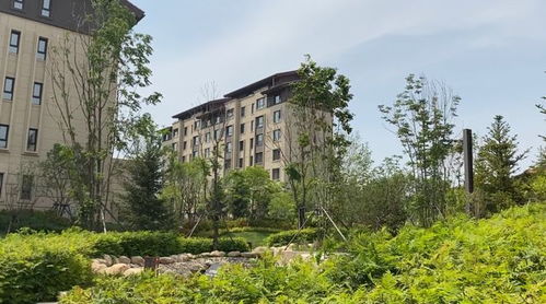 5字頭 即買即下證 長春低密置業(yè)的首選,從這個實景洋房開始