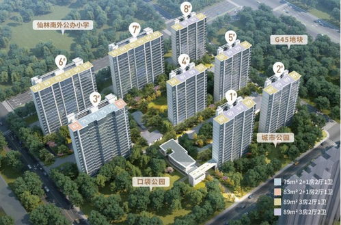 2023年南京取消限購，金鷹置業投資價值如何？